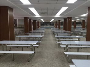 廣東鴻美佳家具廠專業(yè)定制不銹鋼餐桌椅 品質、定制與價格解析